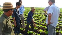 3. International participants of AAS-CABI symposium visit co-farm
